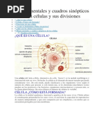 Mapas Mentales y Cuadros Sinópticos Sobre Las Células y Sus Divisiones