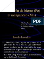 Remocion de Hierro y Manganeso.pdf