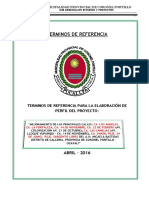 TDR - Pavimentacion Micaela Bastidas Gaby-Paso A PDT