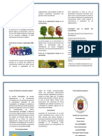 Modelo Propuesto Por El Grupo de Investigación en Gestión Del Conocimiento