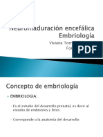 1-A Neuromaduración Encefálica - Embriología Enviada