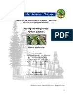 Monografia de Psidium Guajava L PDF