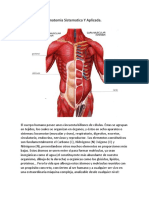 Anatomia Sistematica Y Aplicada