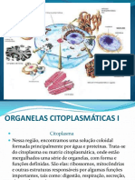 organelas citoplasmáticas I.pptx