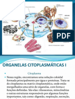 Organelas Citoplasmáticas I