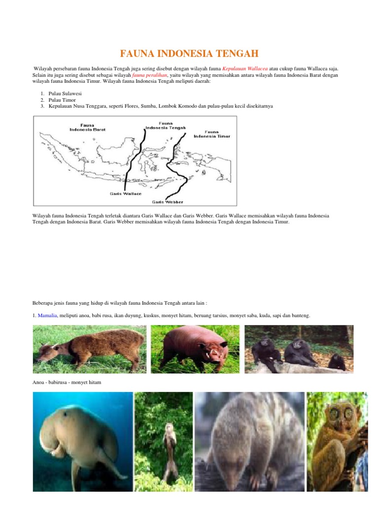 4400 Koleksi Gambar Fauna Zona Neotropik HD