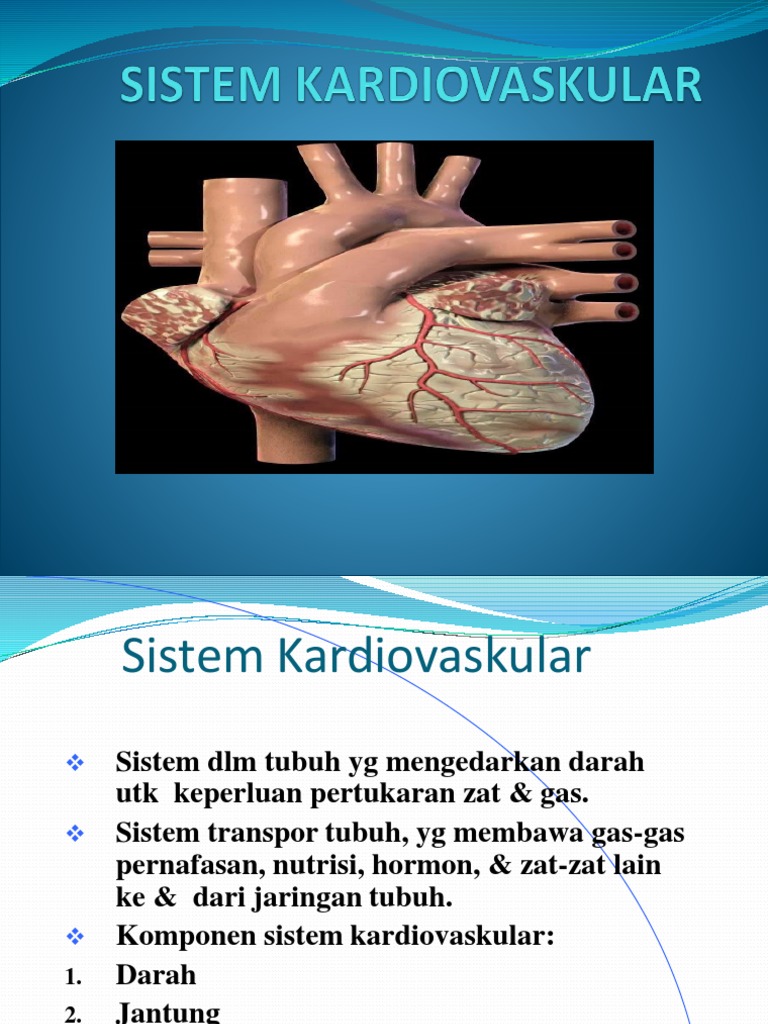 Sistem Kardiovaskular PDF