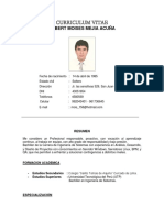 Curriculum Vitae Hmma