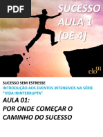 Elo91 Aula 01 Sucesso Sem Estresse - Prosperidade Produtividade Plenitude - APOSTILA