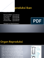 Sistem Reproduksi Ikan