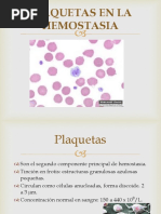 15 Hemostasia primaria 2.pptx