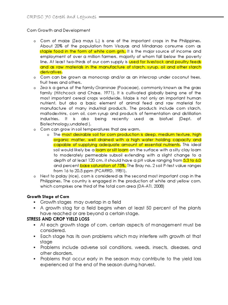 Corn Growth and Management Guide | PDF | Maize | Sowing