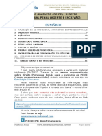 APOSTILA-RESUMO-PC-PE-agente-PROCESSO-PENAL-PÚBLICO-EXTERNO (1).pdf