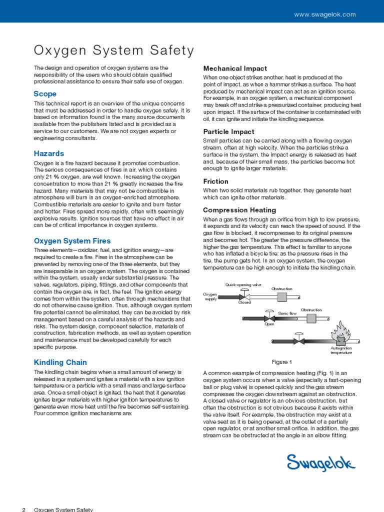 Oxygen System Safety | PDF | Combustion | Oxygen