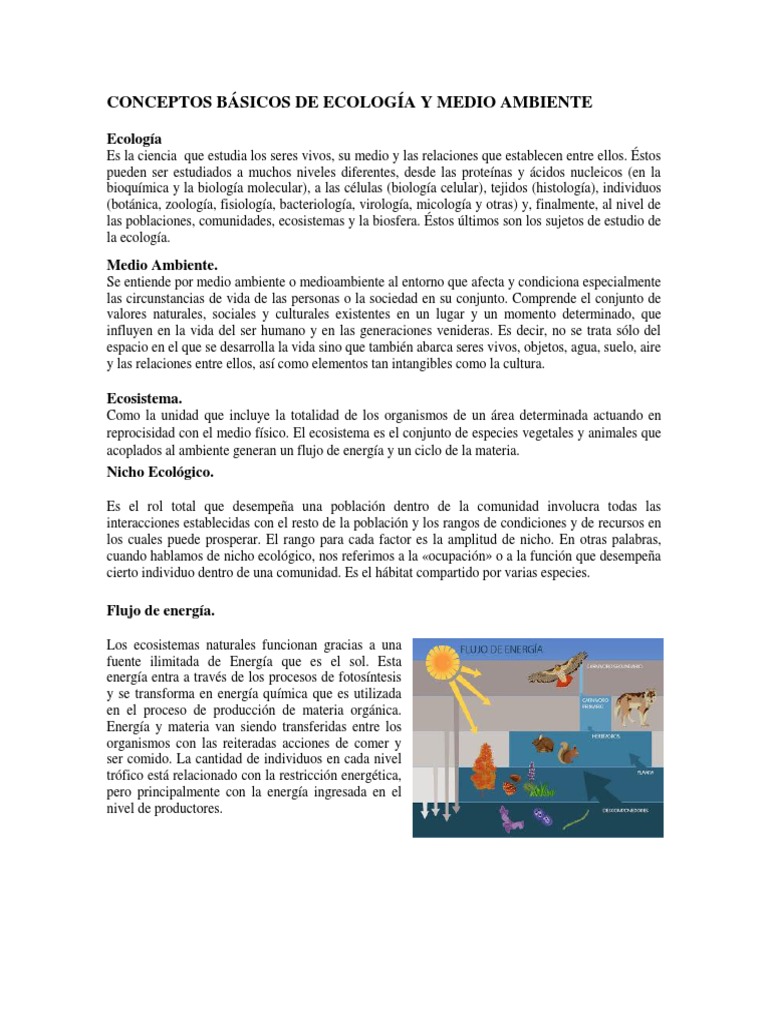 Conceptos Clave de Ecología y Medio Ambiente | PDF | Genética de ...