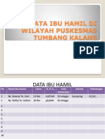 Data Ibu Hamil Di Wilayah Puskesmas Tumbang Kalang