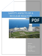 Safety Aspects of Nuclear Reactor