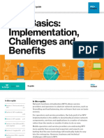 NFVBasics Implementation Challenges and Benefits