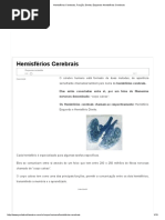 Hemisférios Cerebrais, Função, Direito, Esquerdo Hemisférios Cerebrais