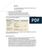 Virus Tumorales y Oncogenes