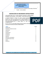 RCIU.pdf