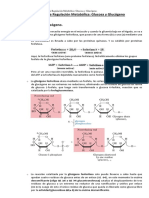 276382765-Principios-de-Regulacion-Metabolica-Glucosa-y-Glucogeno.pdf