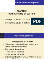 Intercultural Management (MBA) Chapter 1