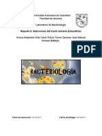 Infecciones Del Tracto Urinario (Urocultivo) PDF