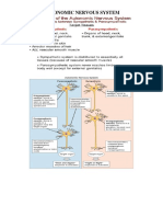 Autonomic Nervous System