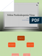 Feline Panleukopenia Virus