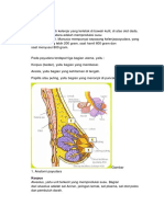 Payudara N Tanda Persalinan