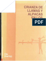 Crianza de Llamas y Alpacas en Los Andes1