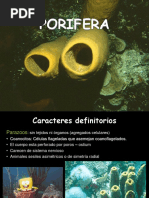 1 Porifera