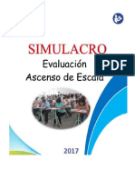 EXAMEN SIMULACRO 2017.pdf