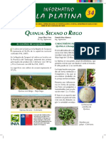 Informativo-34-Quinua-trazos.pdf