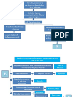 Pa Tho Physiology Lymphoma