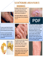 Dermato2.1