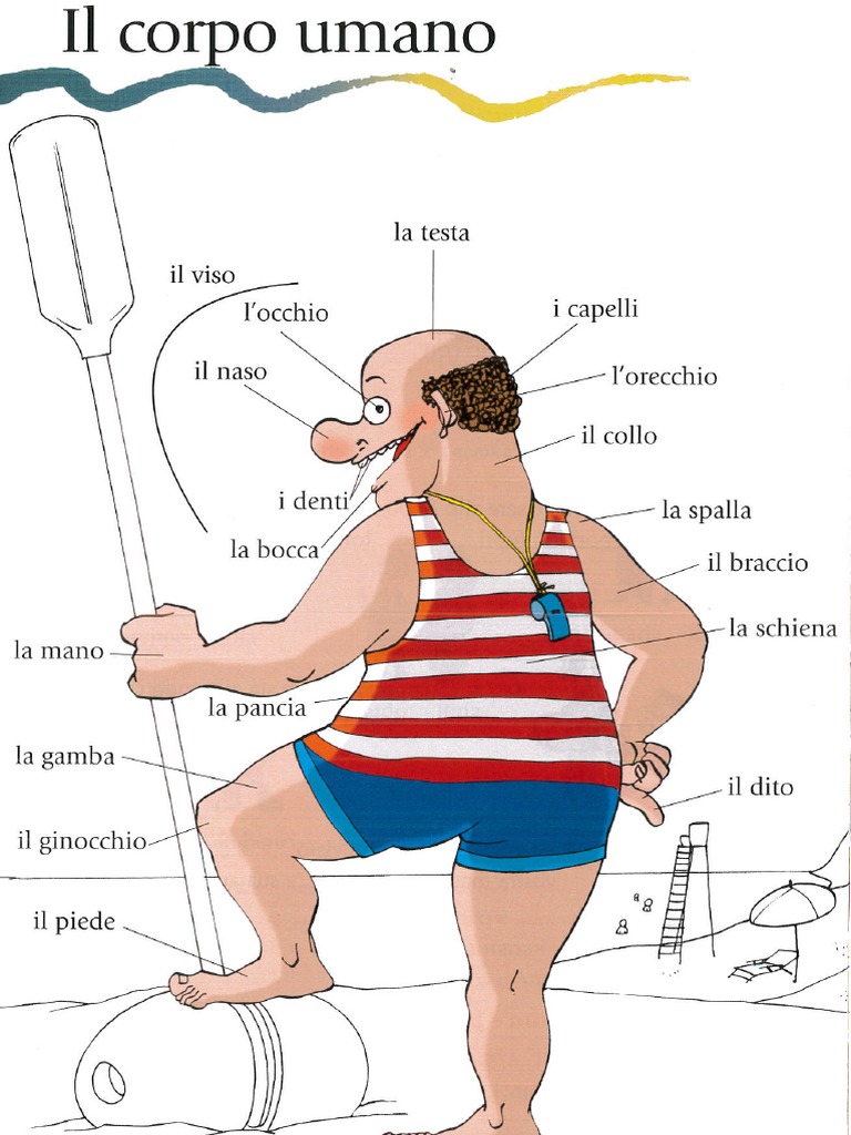 Il Corpo Umano | PDF