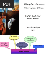 216017820-Processos-Psicologicos-Basicos.ppt