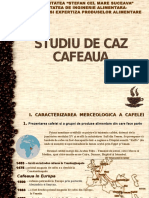 291865176 Studiu de Caz Cafeaua