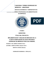 Implementación y análisis de mercado agua purificadora Rodríguez de Mendoza