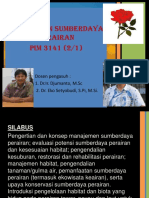 PIM 3141 MSPa Sylabus 17