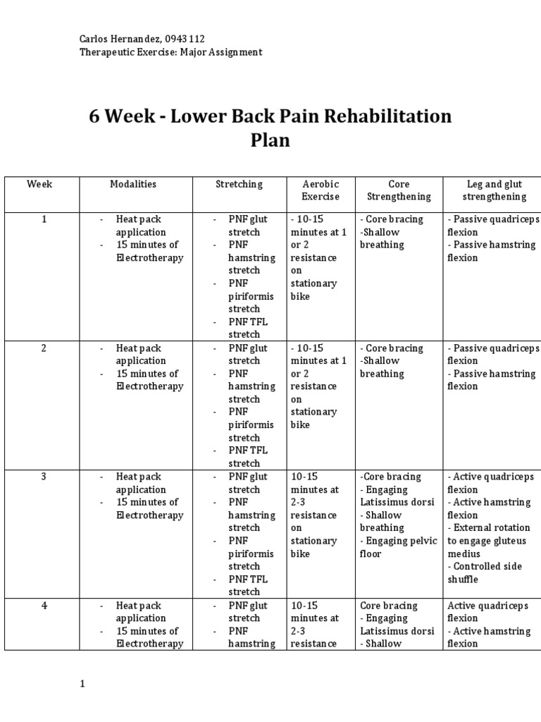 6-Week Lower Back Pain Rehab Plan | PDF | Limbs (Anatomy) | Joints