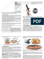 01.la Celula Estructura PDF