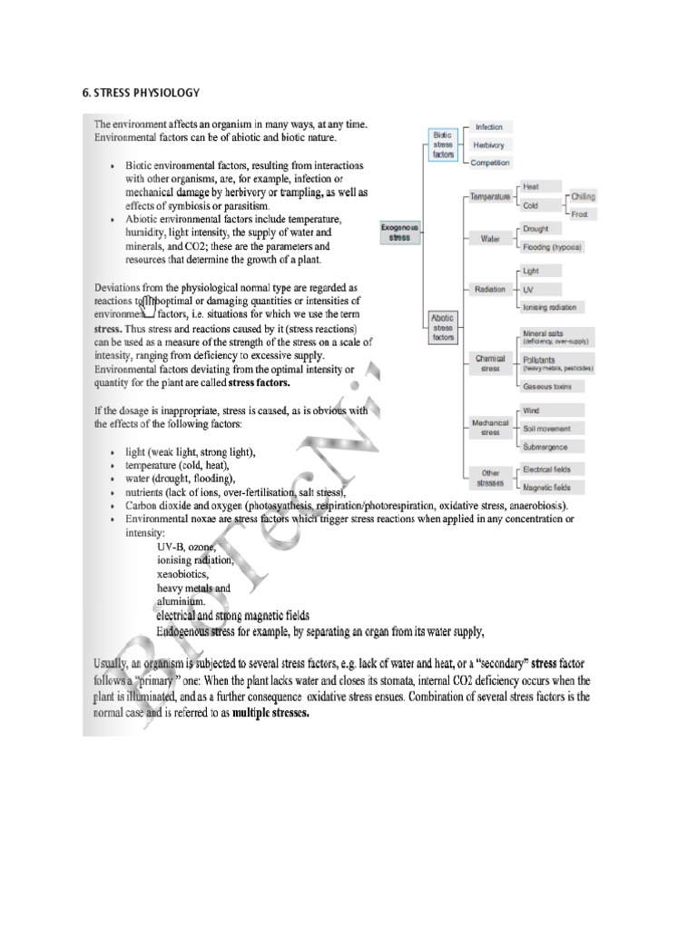 Stress Physiology | PDF | Science | Biology