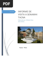 informe senamhi.docx
