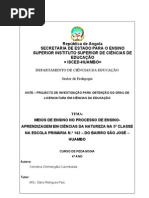 Ante-Projecto Tese - Tina2