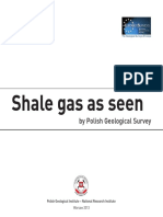 Shale Gas As Seen by Polish Geological Survey