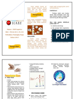 Leaflet Diare