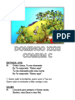 XXXI Comum